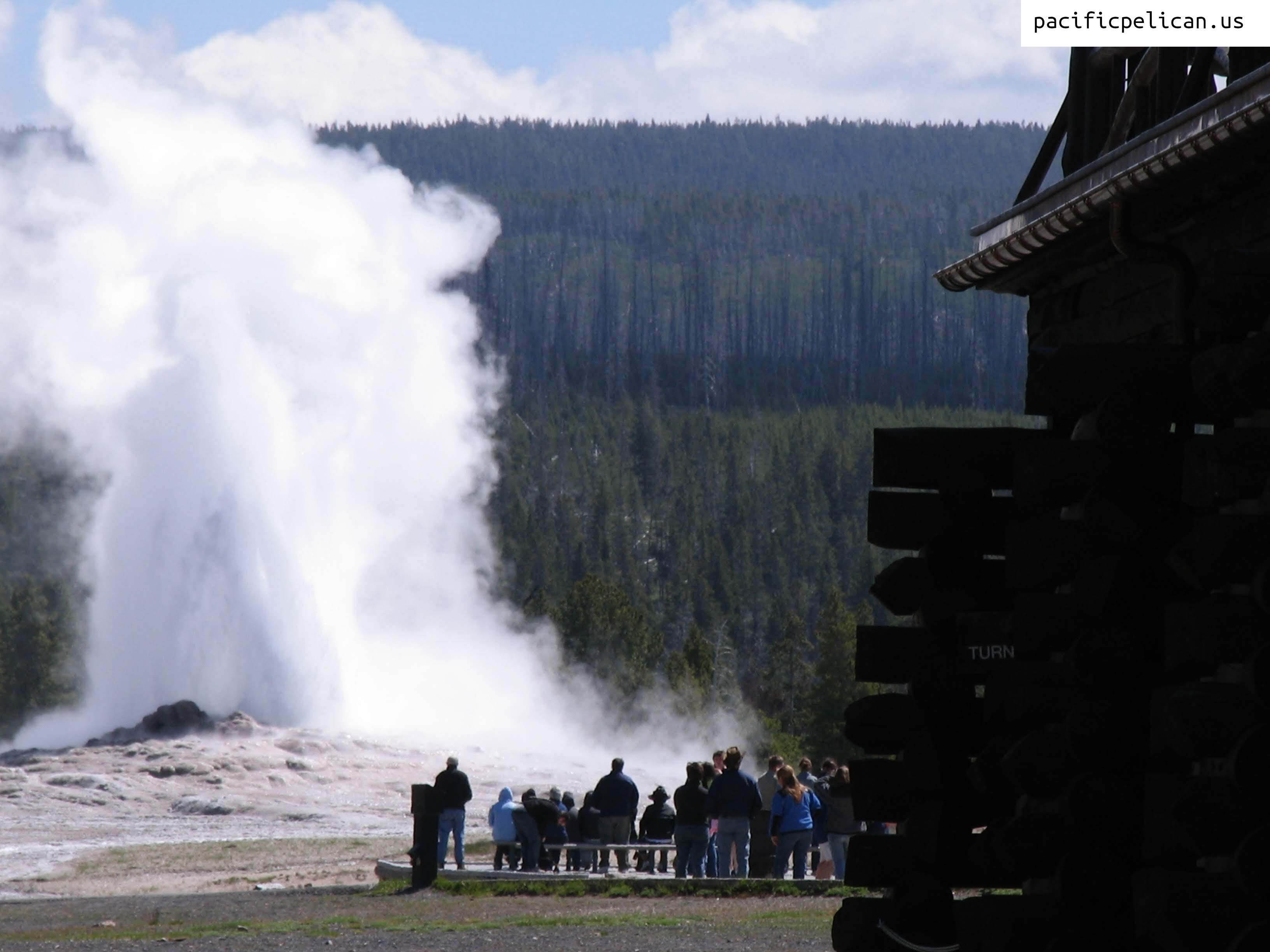 Old Faithful